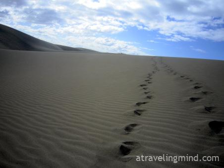 About the thing they call adulthood